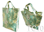 TC10
